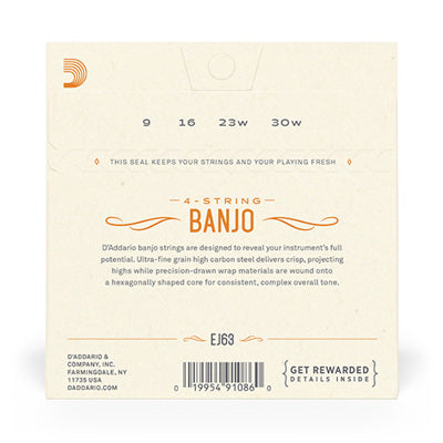 D'Addario EJ63 - Nickel Tenor Banjo