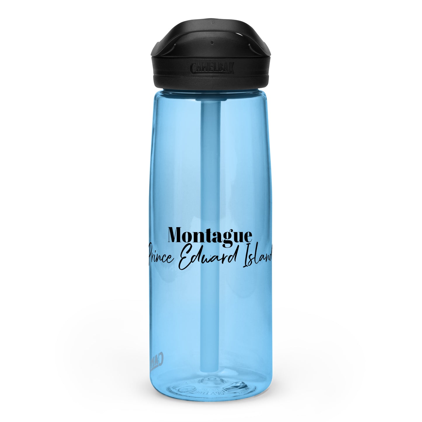 Sports water bottle