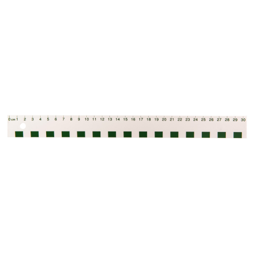 30cm White Plastic Ruler / 
R?gle blanche en plastique de 30 cm (cm)