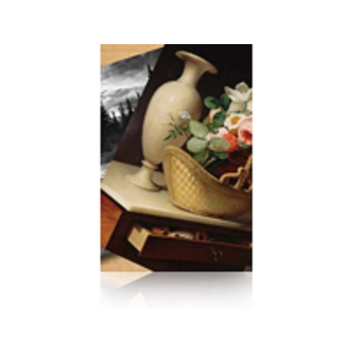 Epson Premium Luster Photo Paper (260) 60" x 100' Ro
