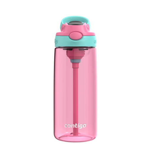 Contigo 20 oz Autospout Azalea w/ Jade Vine - Plastic