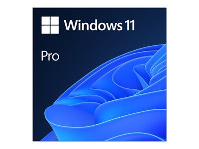 Windows 11 Pro - License - 1 license - ESD - 64-bit, National Retail - All Languages