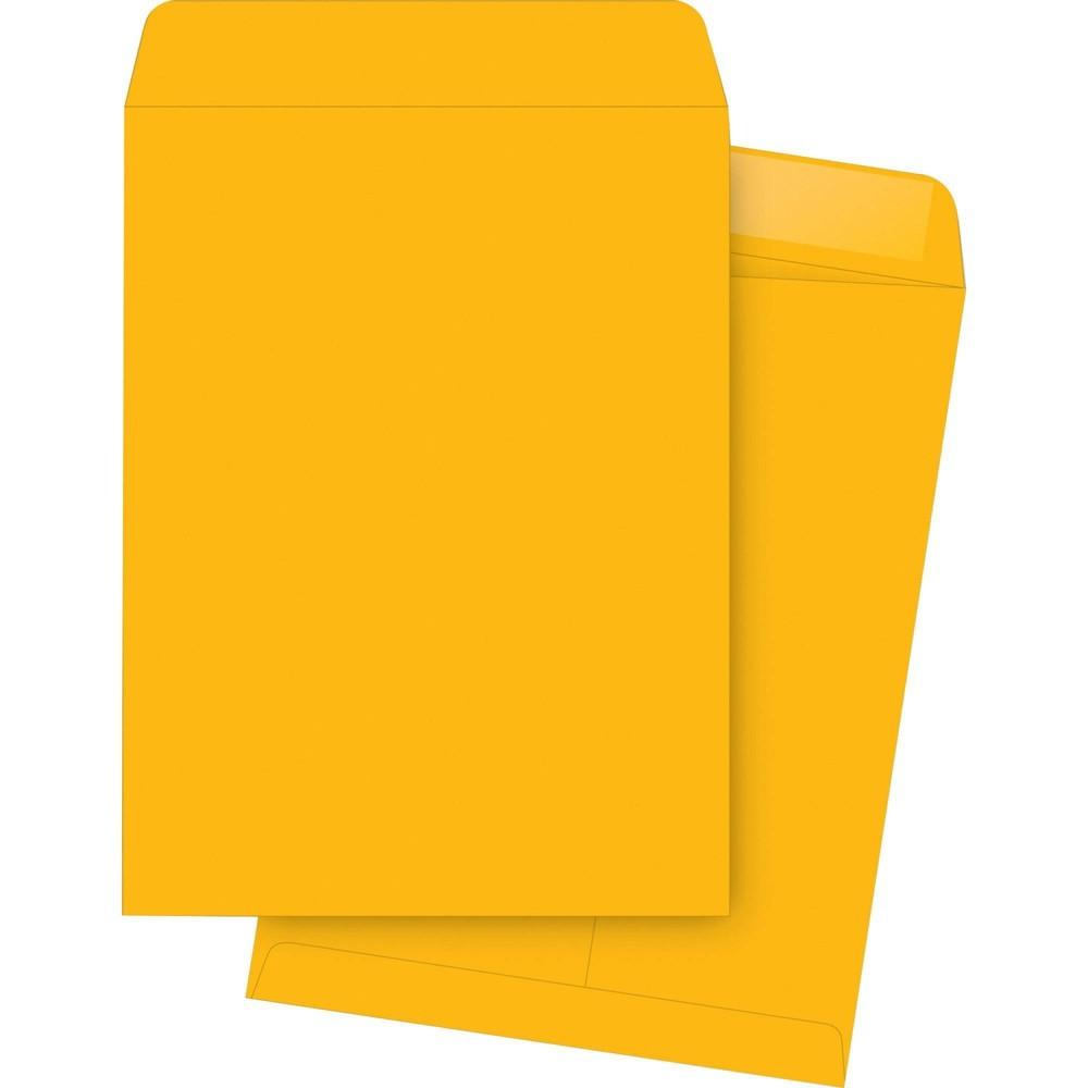Business Source Kraft Catalog Envelopes Per Box