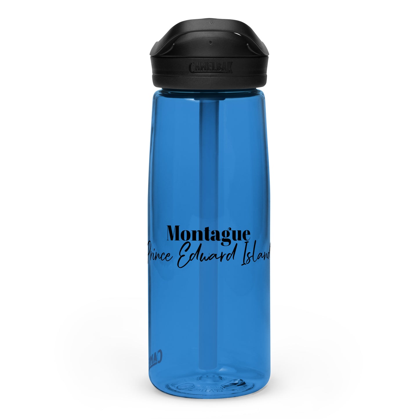 Sports water bottle